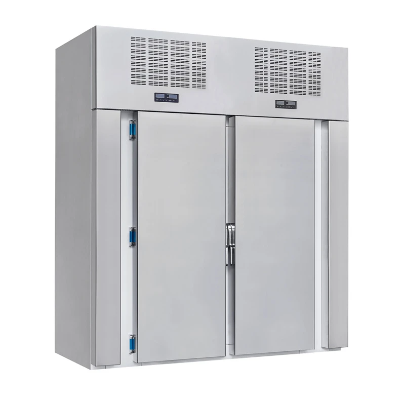 productcate-1-1 Trolley-Type Blast Freezer